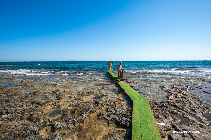 Environmental Conflict and Legal Crackdowns